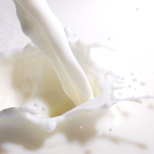Image of Milk