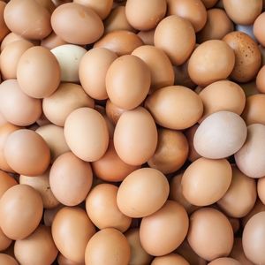 Image of Eggs