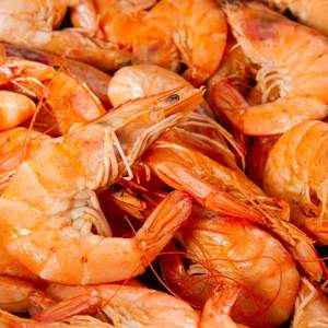 Image of Prawns