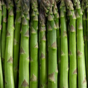 Image of Asparagus