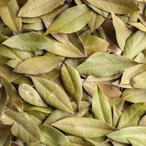 Image of Bay Leaves
