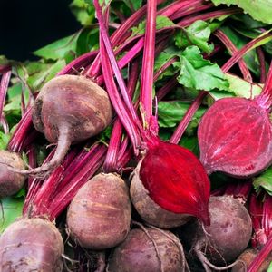 Image of Beetroot