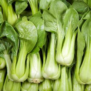 Image of Bok Choy