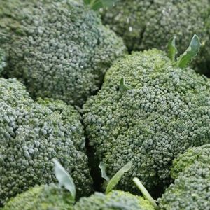 Image of Broccoli