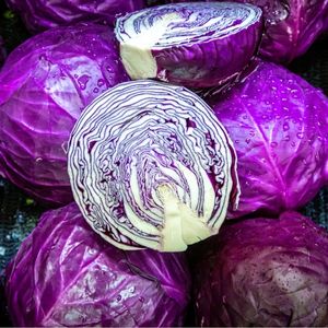 Image of Cabbage – Red