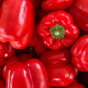 Image of Capsicum – Red