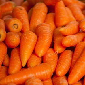 Image of Carrot