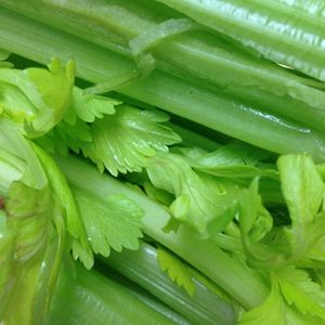 Image of Celery Sticks