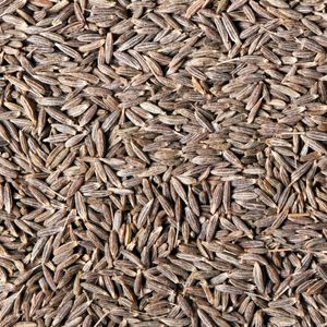 Image of Cumin Whole Seeds