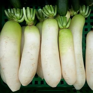 Image of Daikon