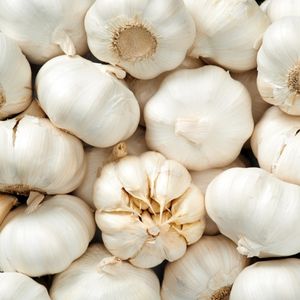 Image of Garlic – Bulb