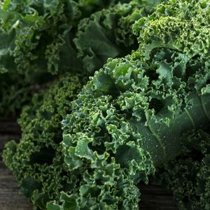 Image of Kale
