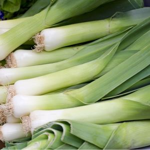 Image of Leek