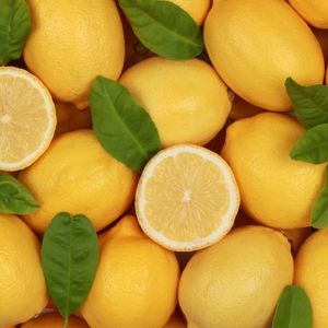 Image of Lemon