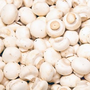 Image of Mushrooms – Button