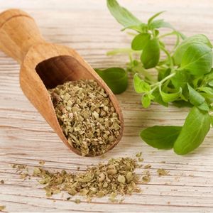 Image of Oregano