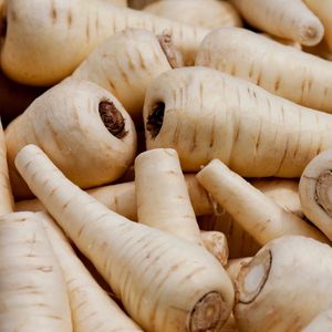 Image of Parsnip