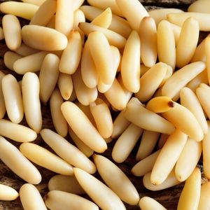 Image of Pine Nuts Natural