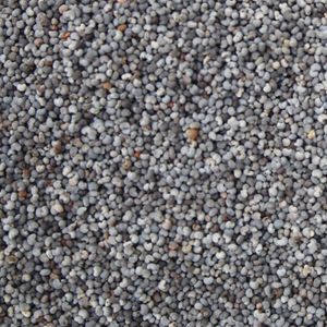 Image of Poppy Seeds