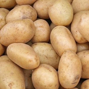 Image of Potato