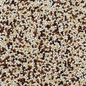 Image of Quinoa Tri Colour