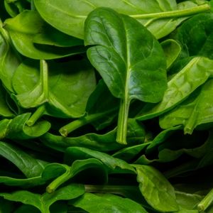 Image of Spinach