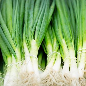 Image of Spring Onion
