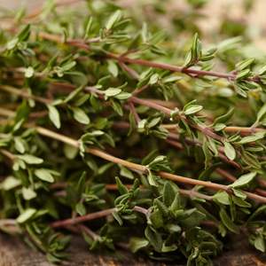 Image of Thyme
