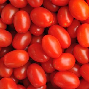 Image of Tomato – Cherry