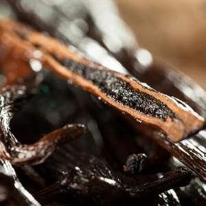Image of Vanilla Bean Paste