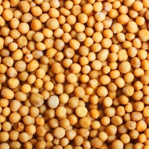 Image of Whole Yellow Mustard Seeds