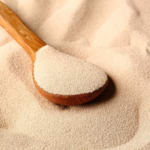 Image of Yeast Active Dried